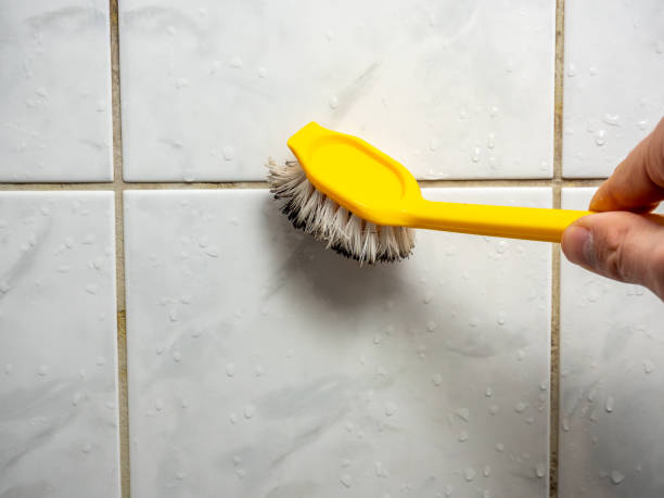 Best Mold Remediation Experts  in Apple Valley, CA