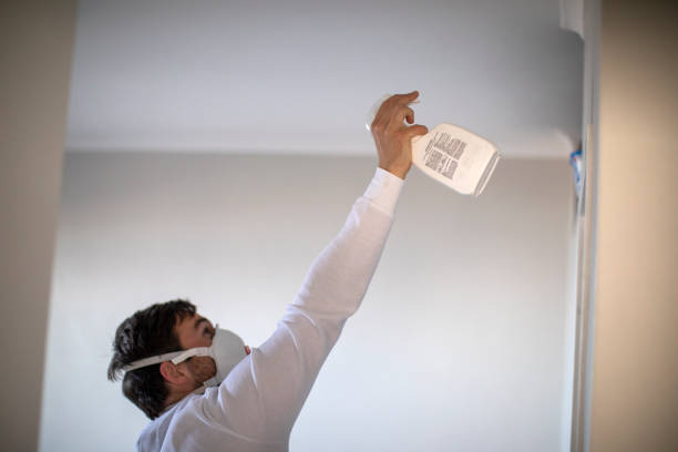 Best Water Damage Restoration  in Apple Valley, CA