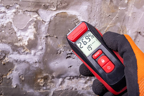 Best Water Damage Restoration  in Apple Valley, CA