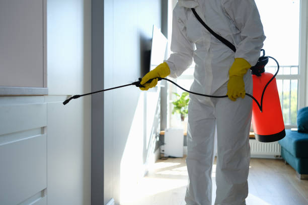 Best Office Mold Removal Services  in Apple Valley, CA