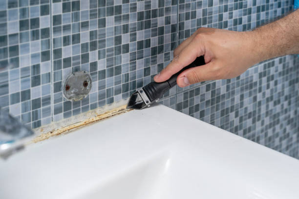 Best Mold Remediation  in Apple Valley, CA
