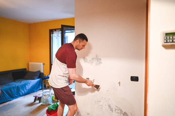 Best Affordable Mold Removal  in Apple Valley, CA